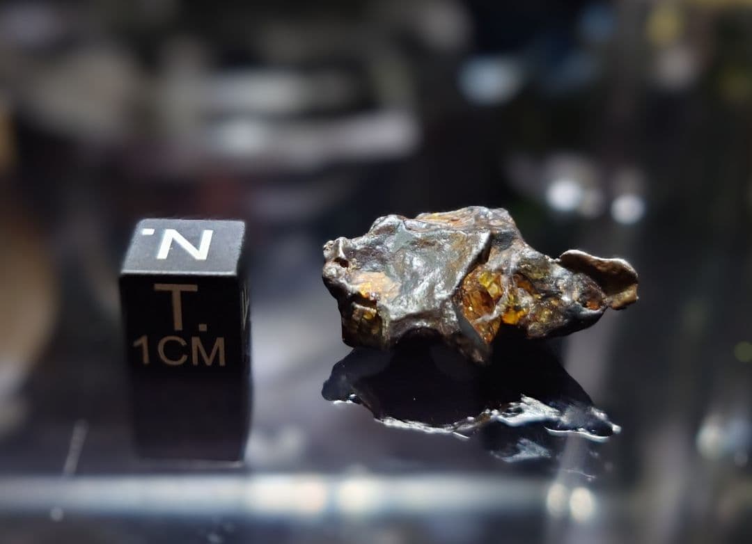 隕石 ゴールデン パラサイト⭐