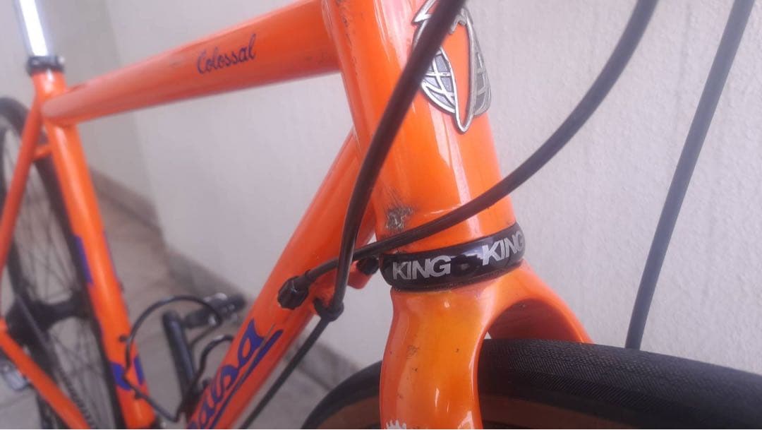 自転車本体 salsa colossal