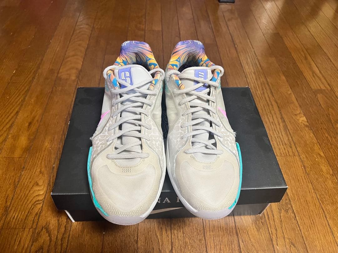 NIKE サブリナ 2 タイタン 29.0cm