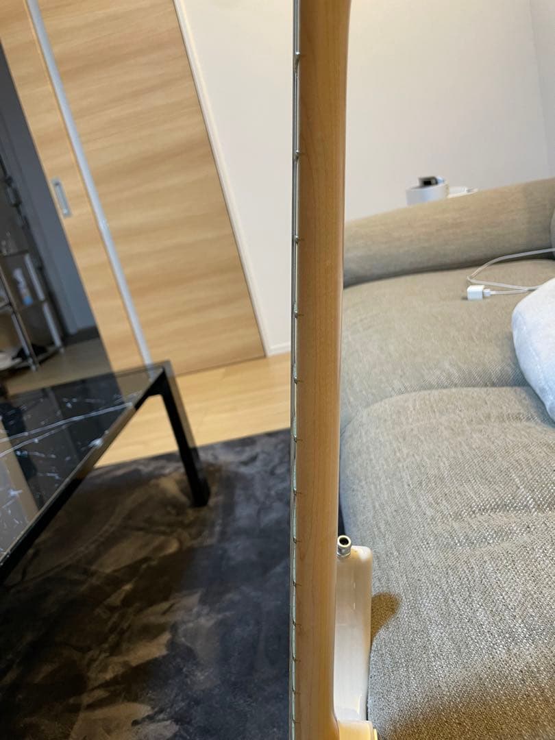 FUJIGEN eos ギター