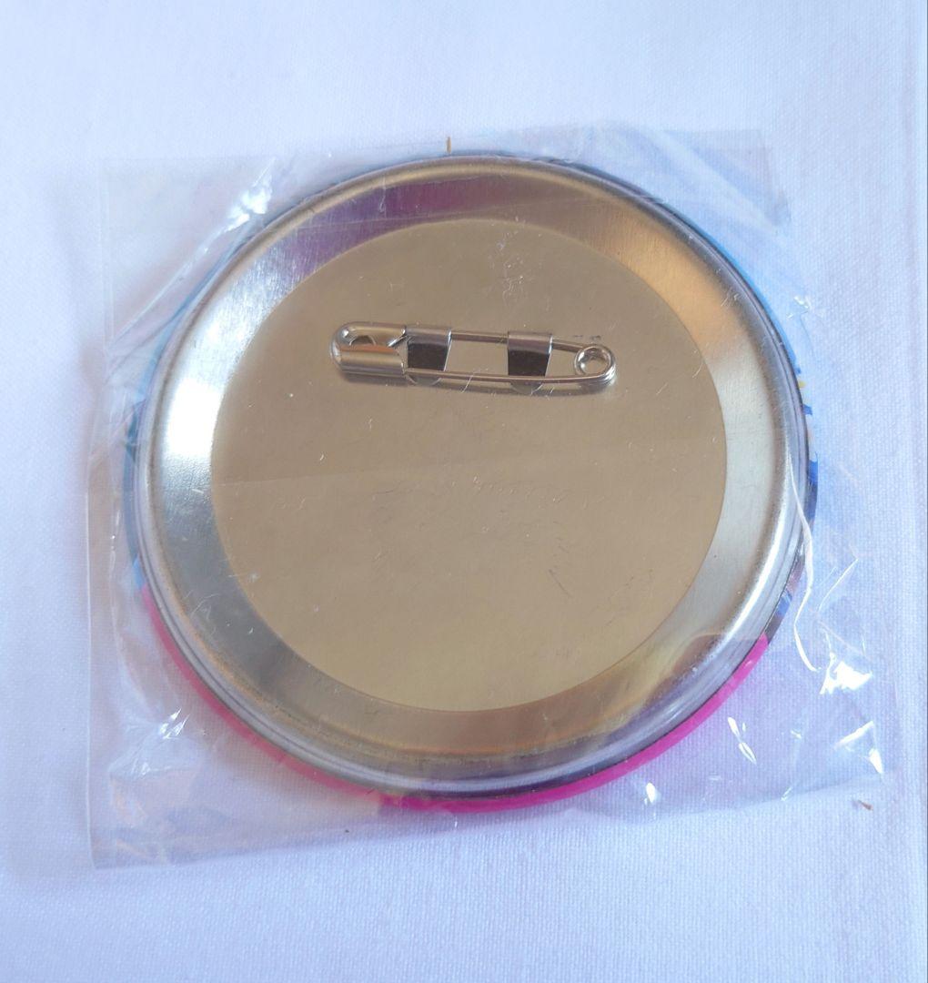 おまとめ確認用 ディズニーリゾート イマジニングザマジック ミニー 缶バッジ