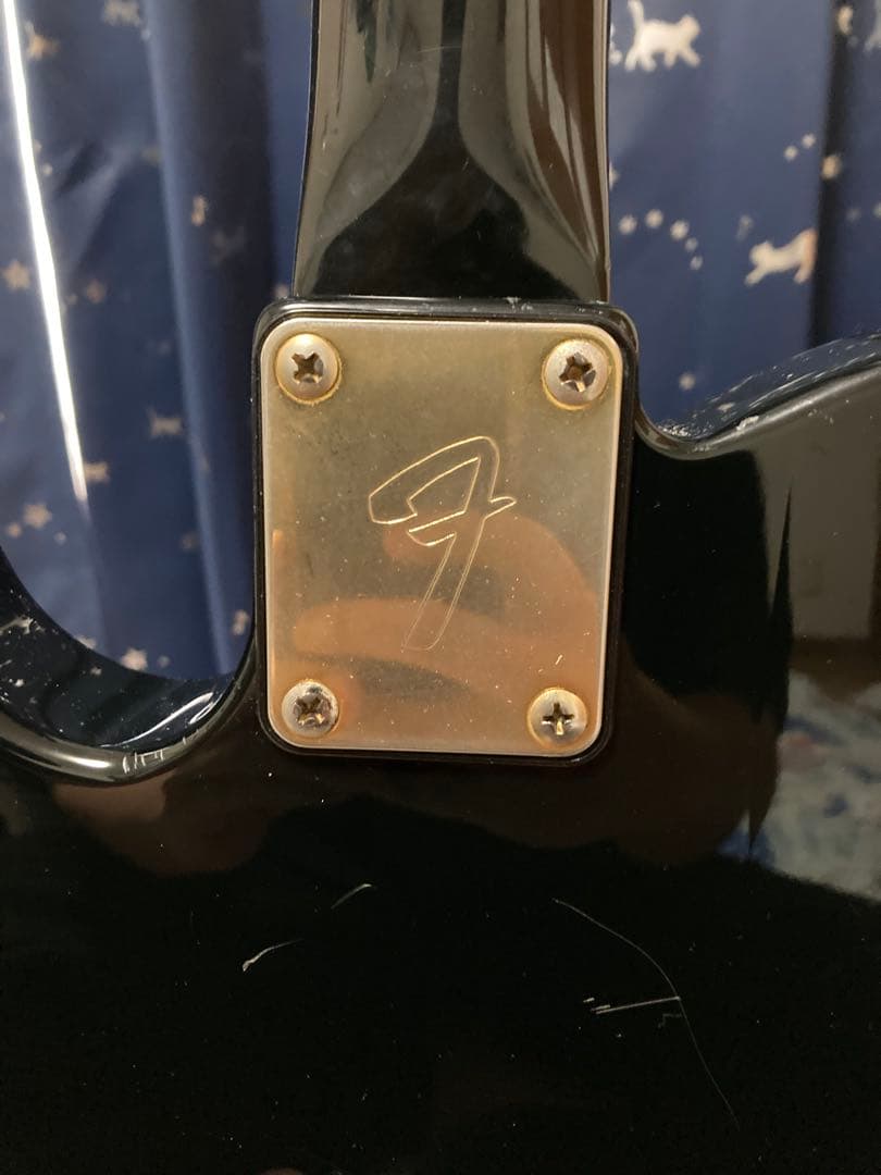 Fender Japan TLG80-60 （フェンダージャパン）