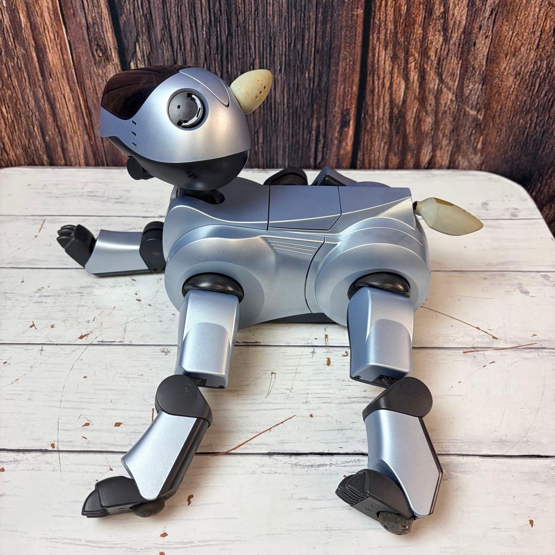 SONY ソニー AIBO アイボ ERA-210P1 シルバー 通電確認済