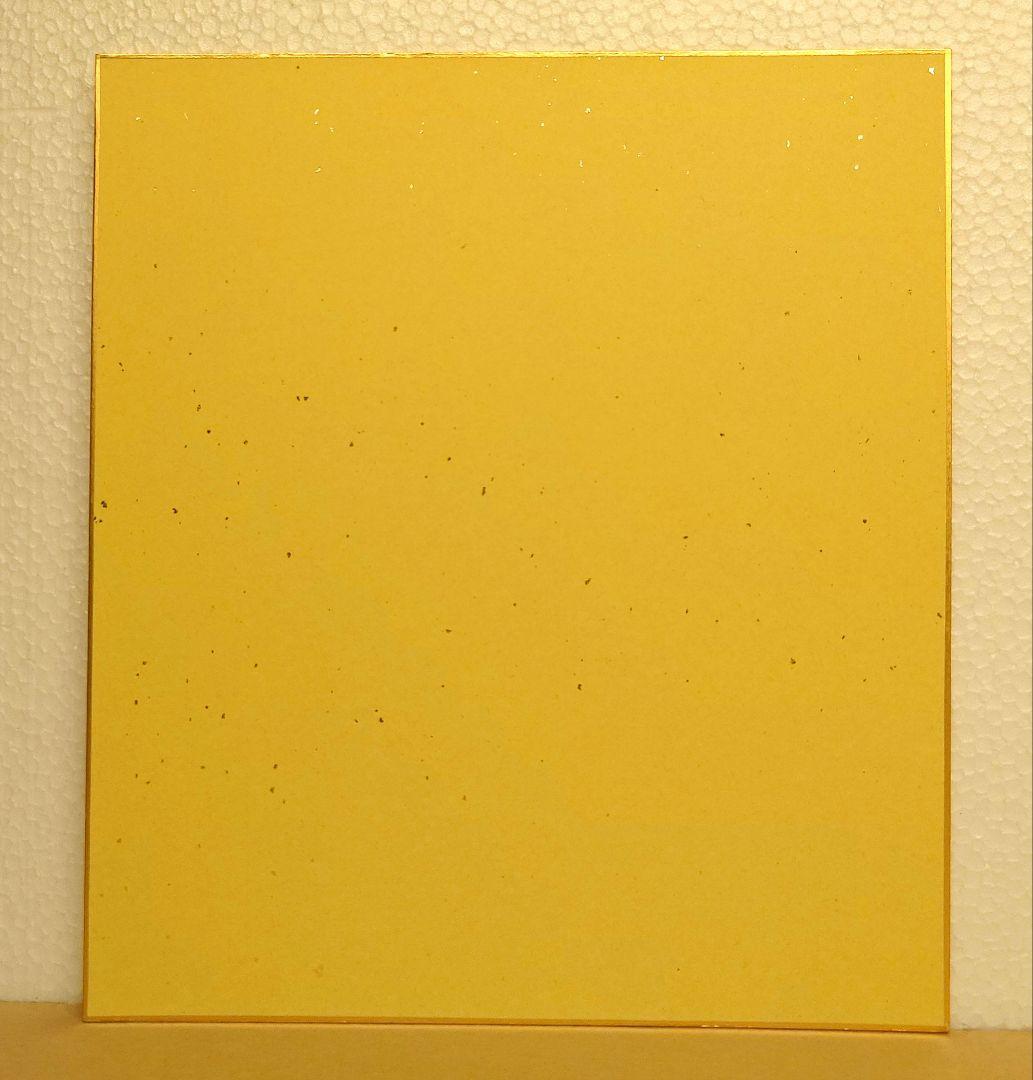 ヒクソン グレイシー 直筆サイン色紙