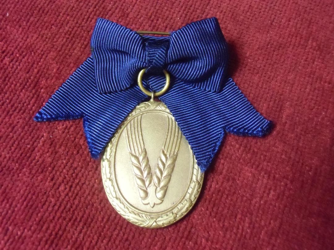 ＢＷドイツ軍/連邦軍＊１９５７年制定＊女性用ＲＡＤ永年勤続章１級/２５年（実物）