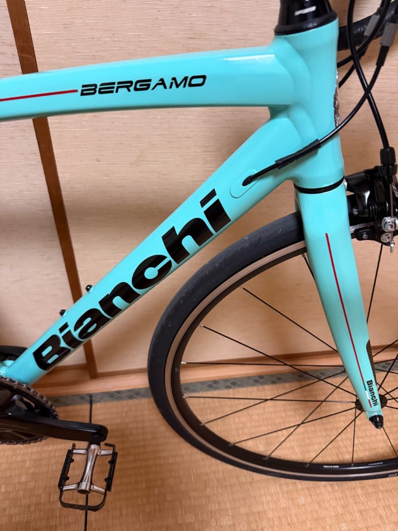 最終値下げ　早期販売したいです　Bianchi BERGAMO フレーム50cm