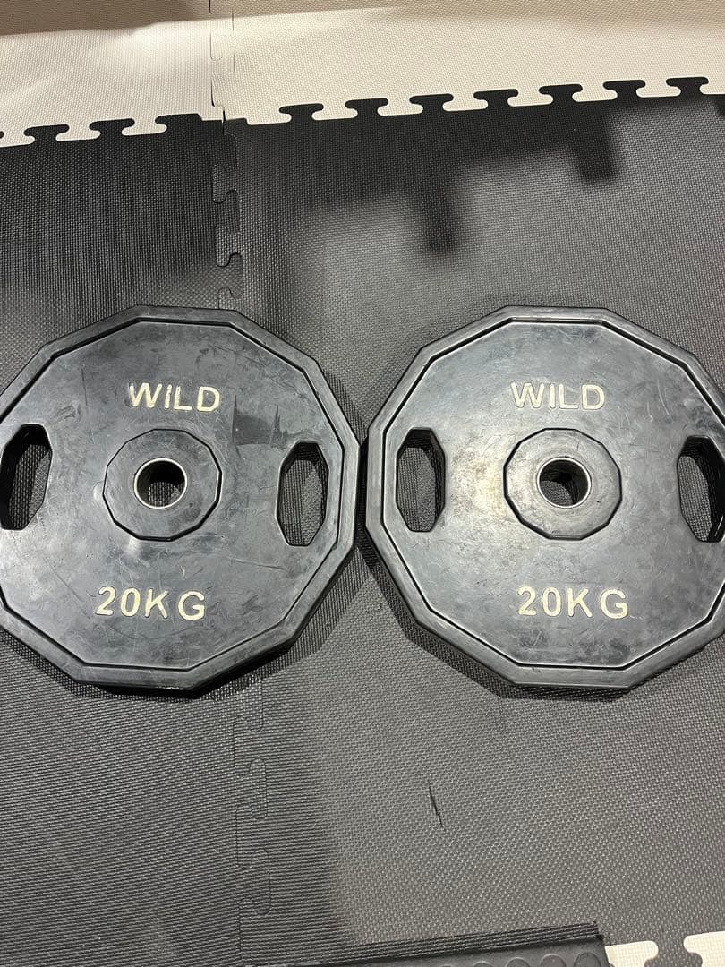 WILD 20KG ダンベルプレート 2枚セット