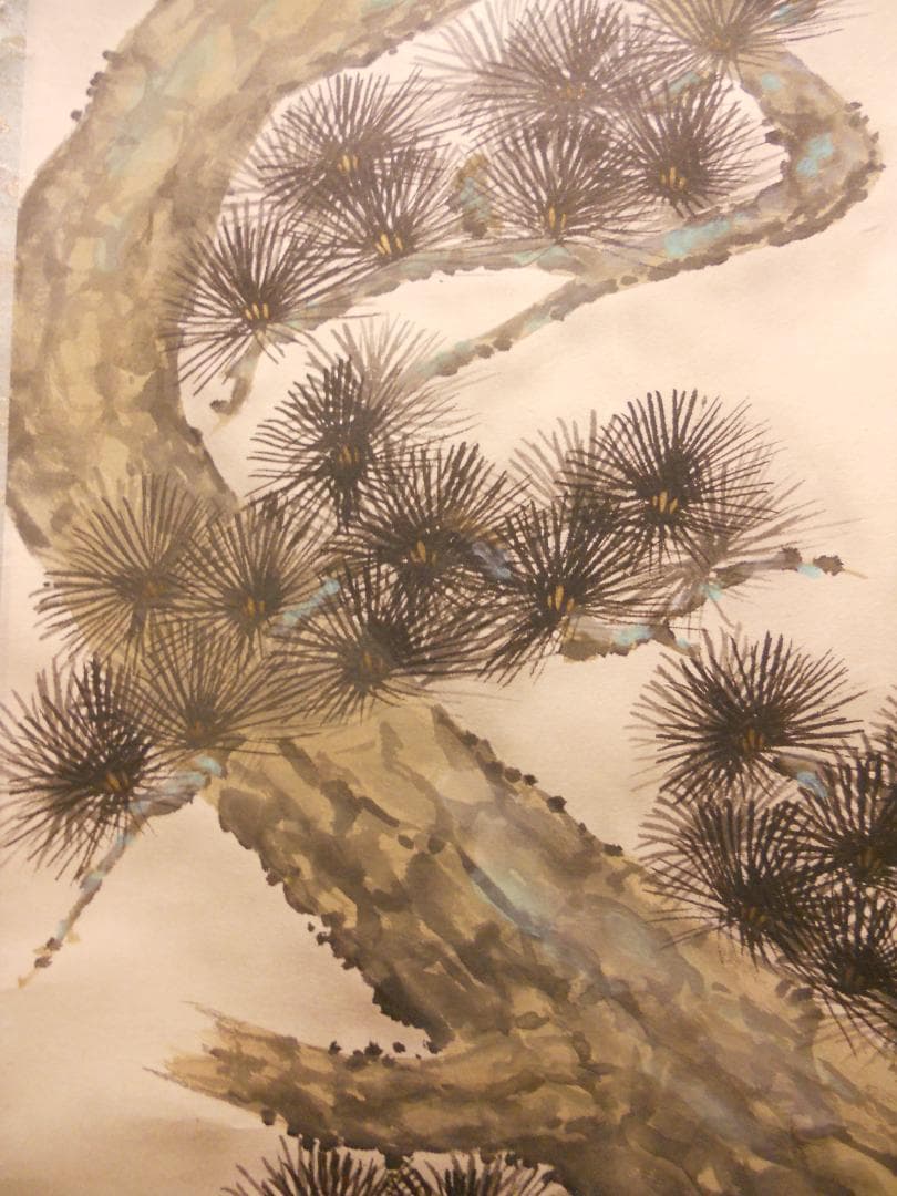 掛け軸 小川朝陽 老松 紙本 希少 軸装 茶道具 掛軸 美品 です。