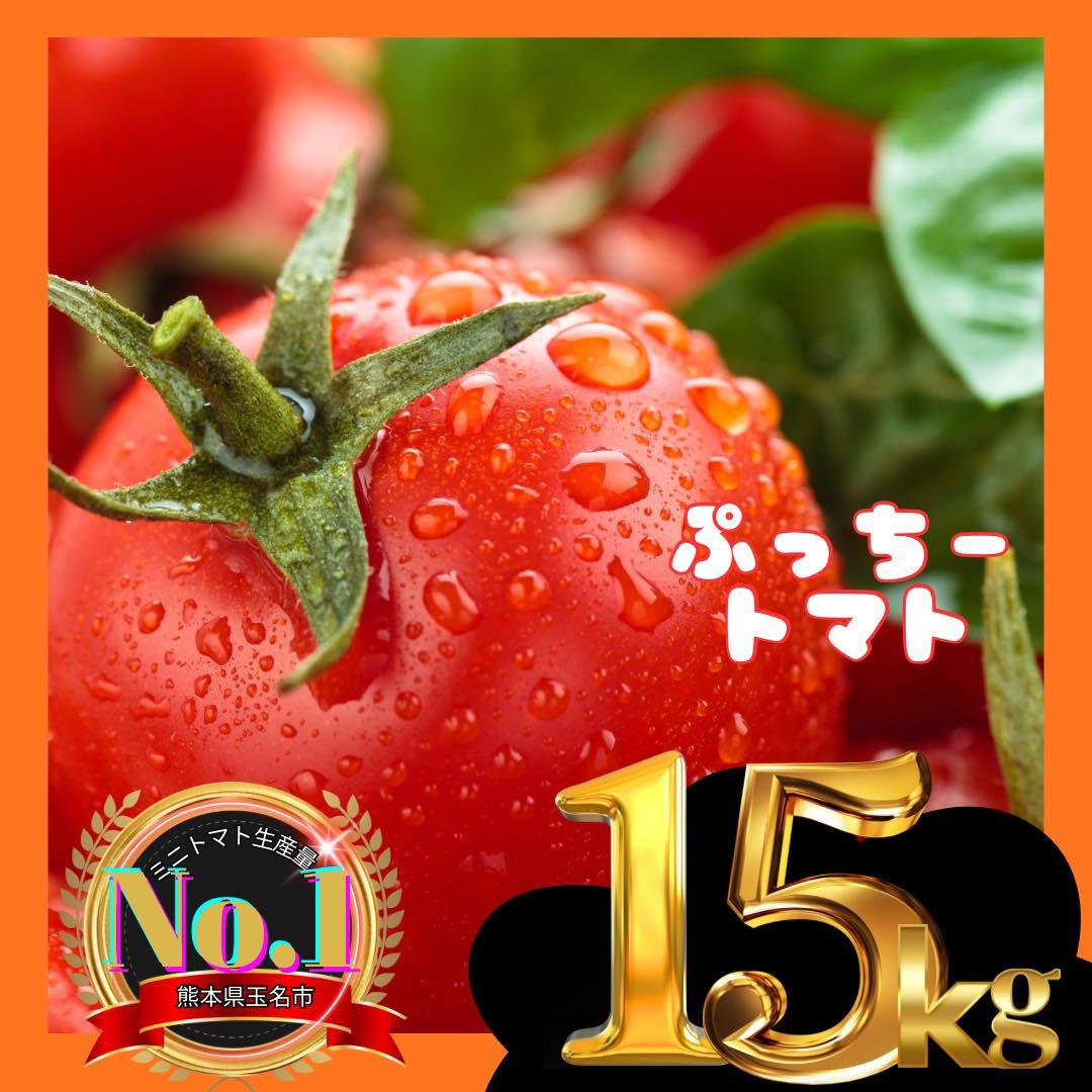 ミニトマト　15キロ　野菜　熊本　おやつ　弁当　おかず　ミネラル　リコピン