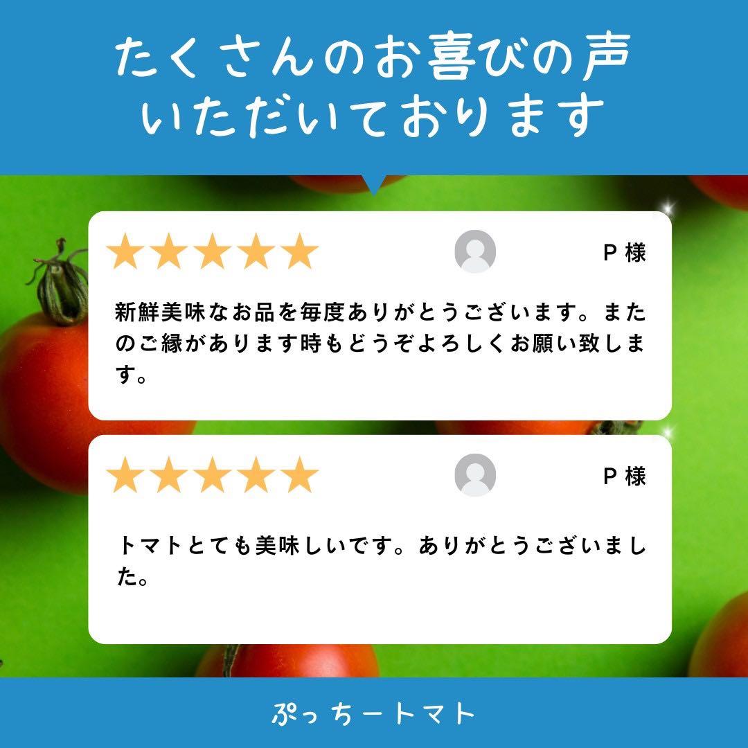 ミニトマト　15キロ　野菜　熊本　おやつ　弁当　おかず　ミネラル　リコピン