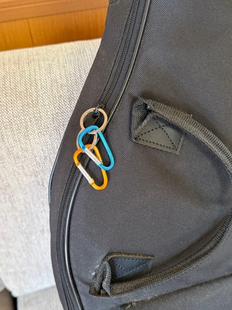 Ibanez TOD10N ナイロン弦 Tim Hensonモデル