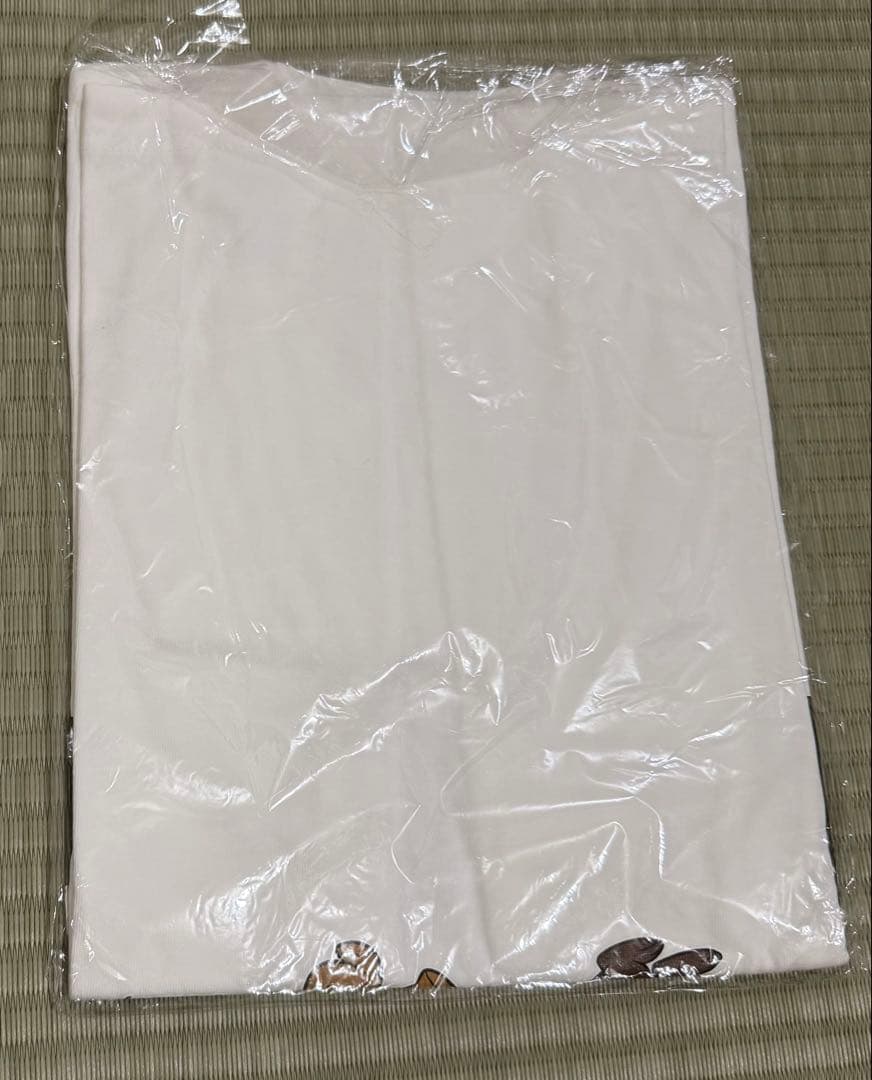 【新品未使用】ケツメイシ×ディズニー公式TシャツSサイズ