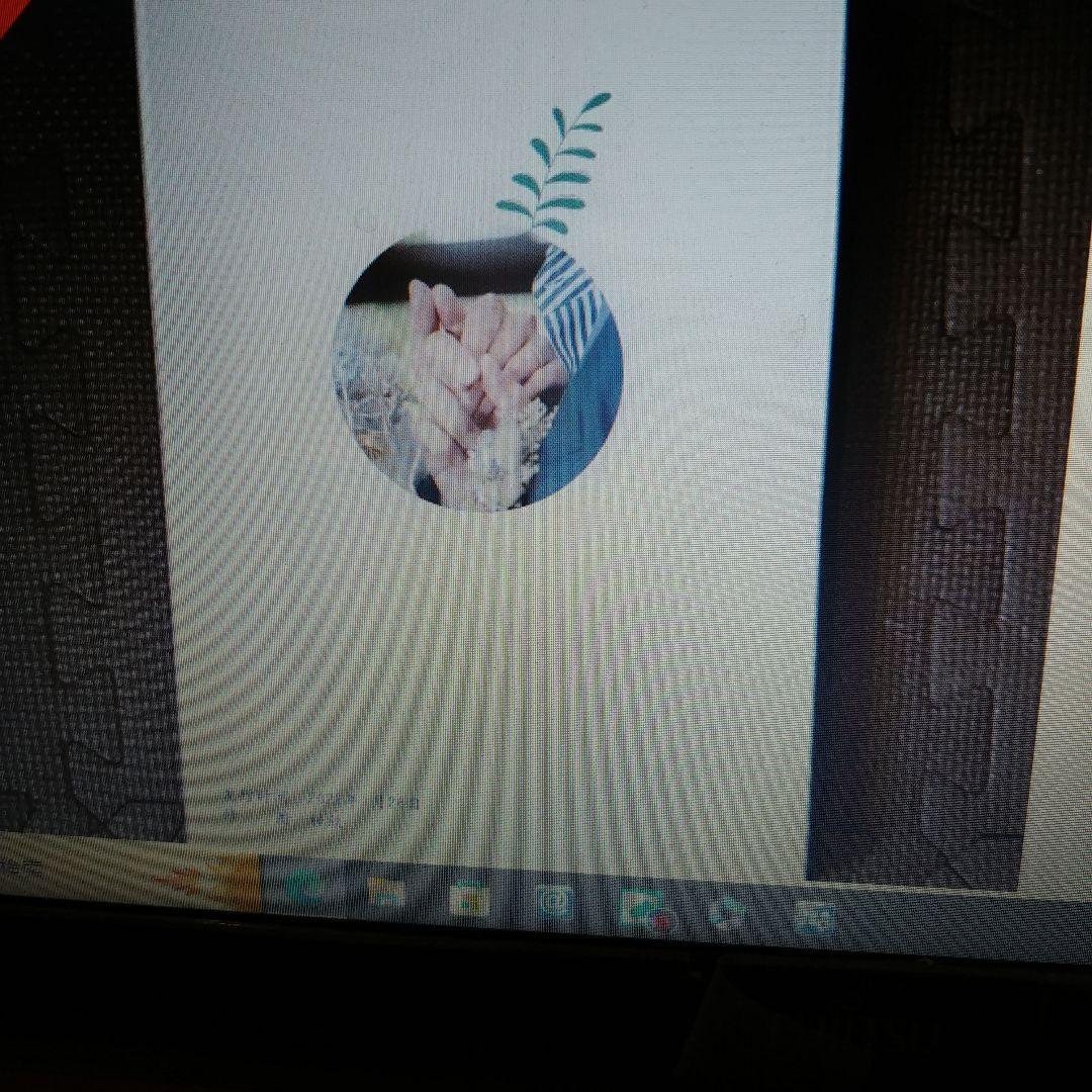 ご確認用　ポスターカード6枚セット