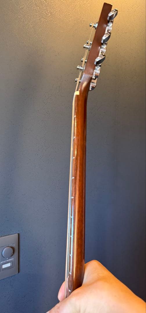 LRバグス アンセム PU付き❗️ マーチン Martin OOO-1R