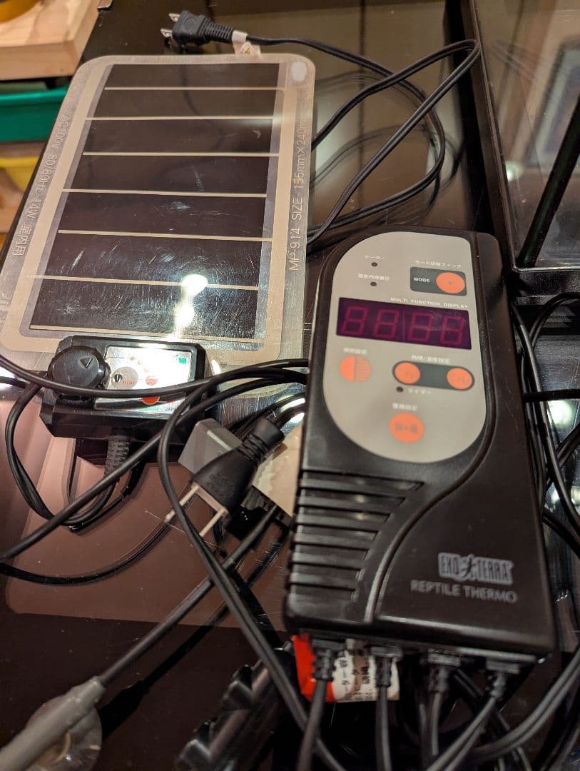 シロココ　爬虫類飼育セット