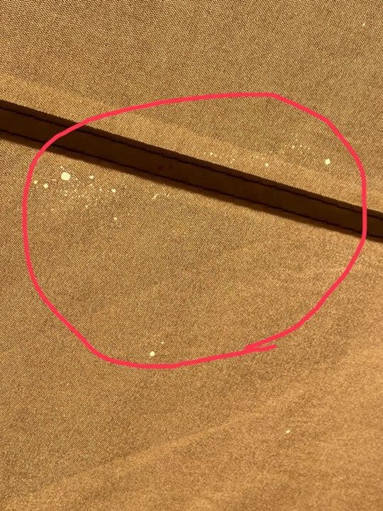 値下げします。　ワンポールテント　4m×4m