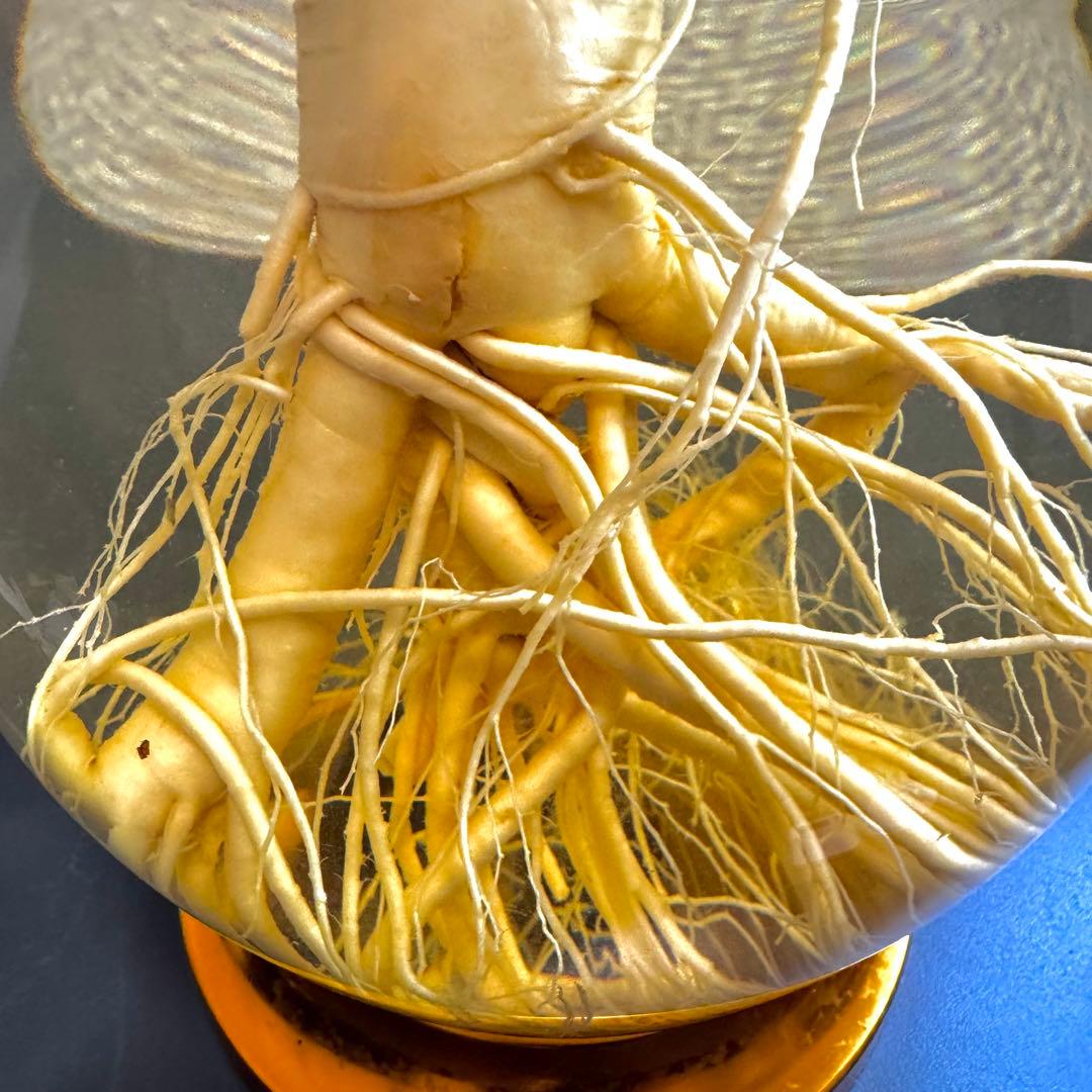 高麗人参　約40年物　古酒　ビンテージ　ガラス瓶　金色　富士商事　健康酒