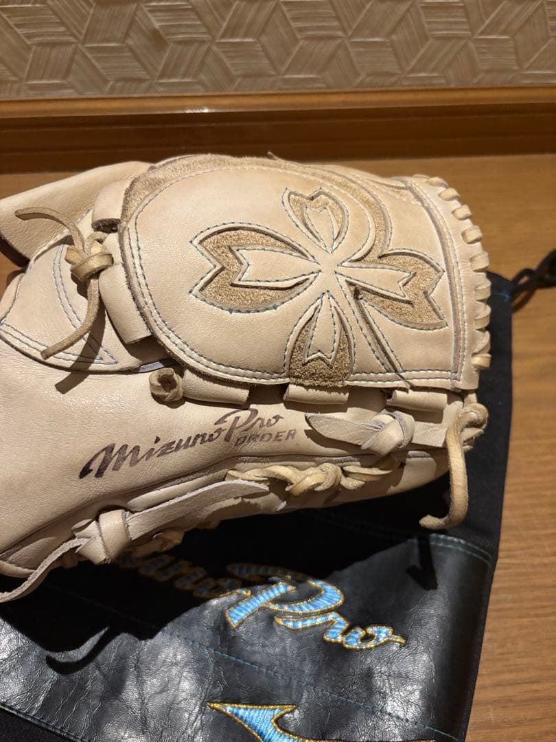 ミズノプロ 硬式　投手用　専用バッグ付き