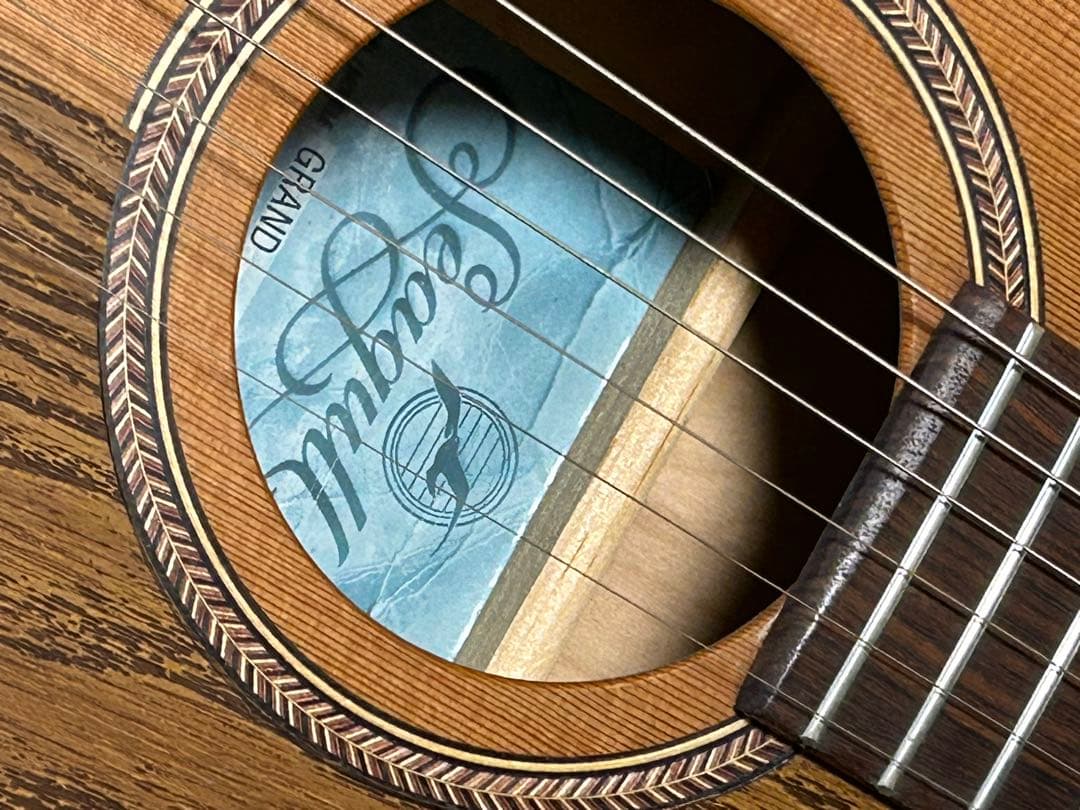 seagull grand(ハードケース付き エレアコ)