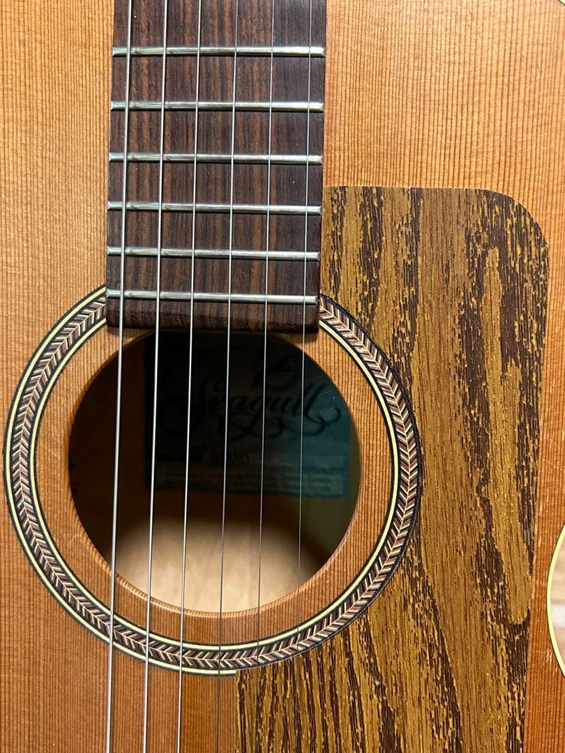 seagull grand(ハードケース付き エレアコ)