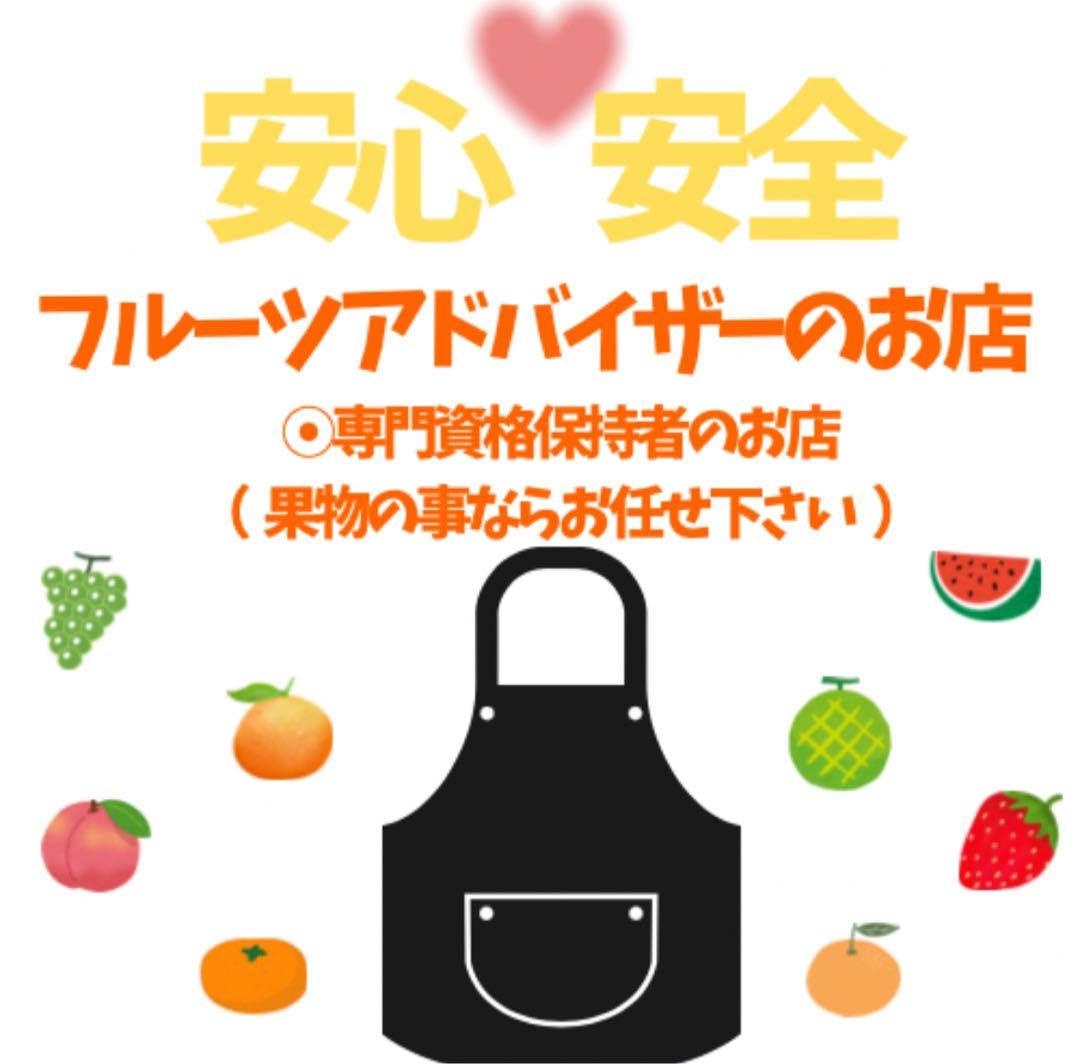㉔高知特産 露地栽培 土佐文旦 4L限定 文旦 約20kg 大玉 サイズ