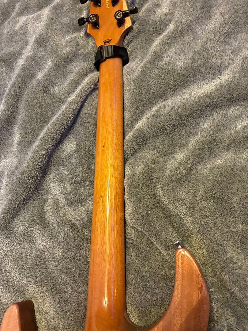 EDWARDS E-RODEOholic　GWS ロックペグ付き