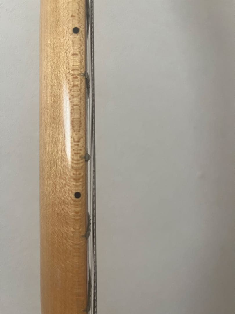 【限定値下げ】FENDER Player Tele MN PWT エレキギター