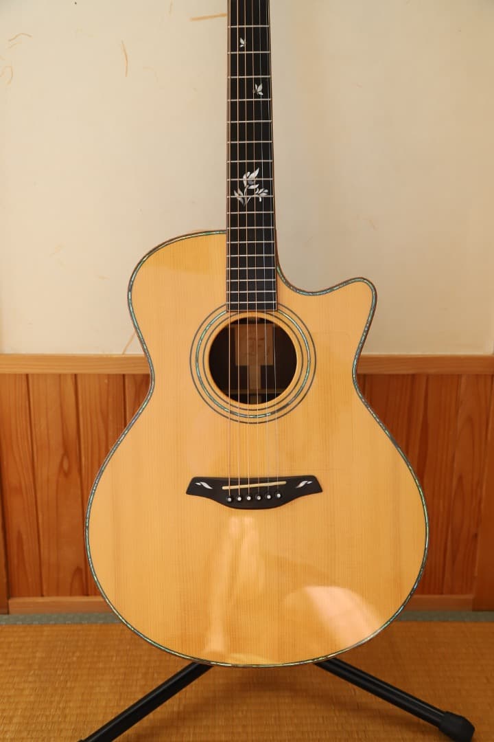 ☆★Furch フォルヒ G25-AGCT 2014年製★☆