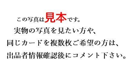 ポケモンカード　わるいカイリュー　014/020　整理番号、ps-106