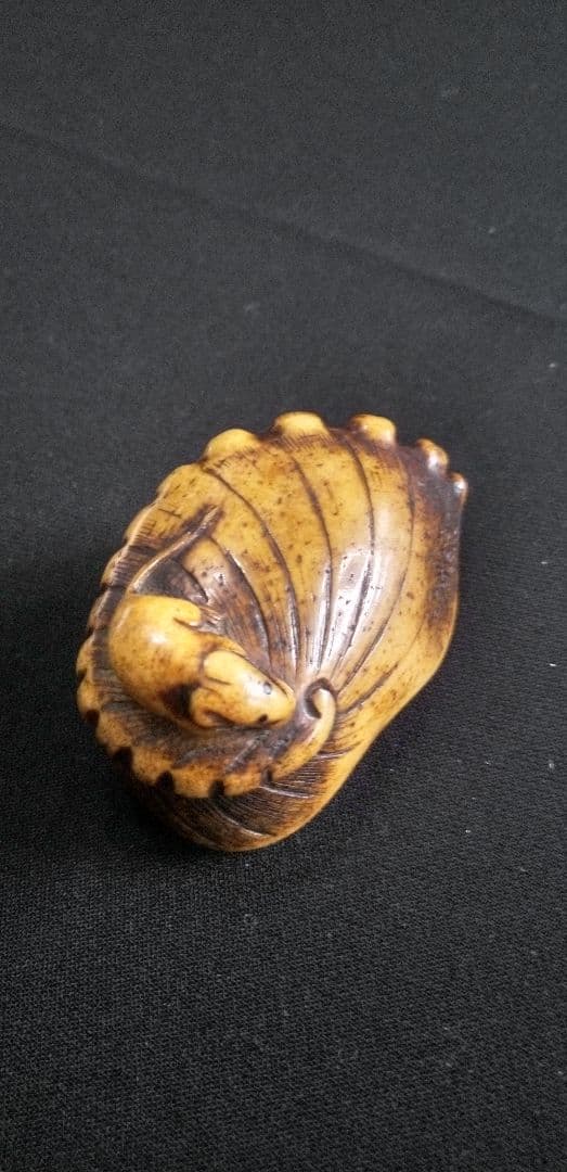骨董時代提げ物、根付け鼠鮑の縁起物彫刻 約6cm