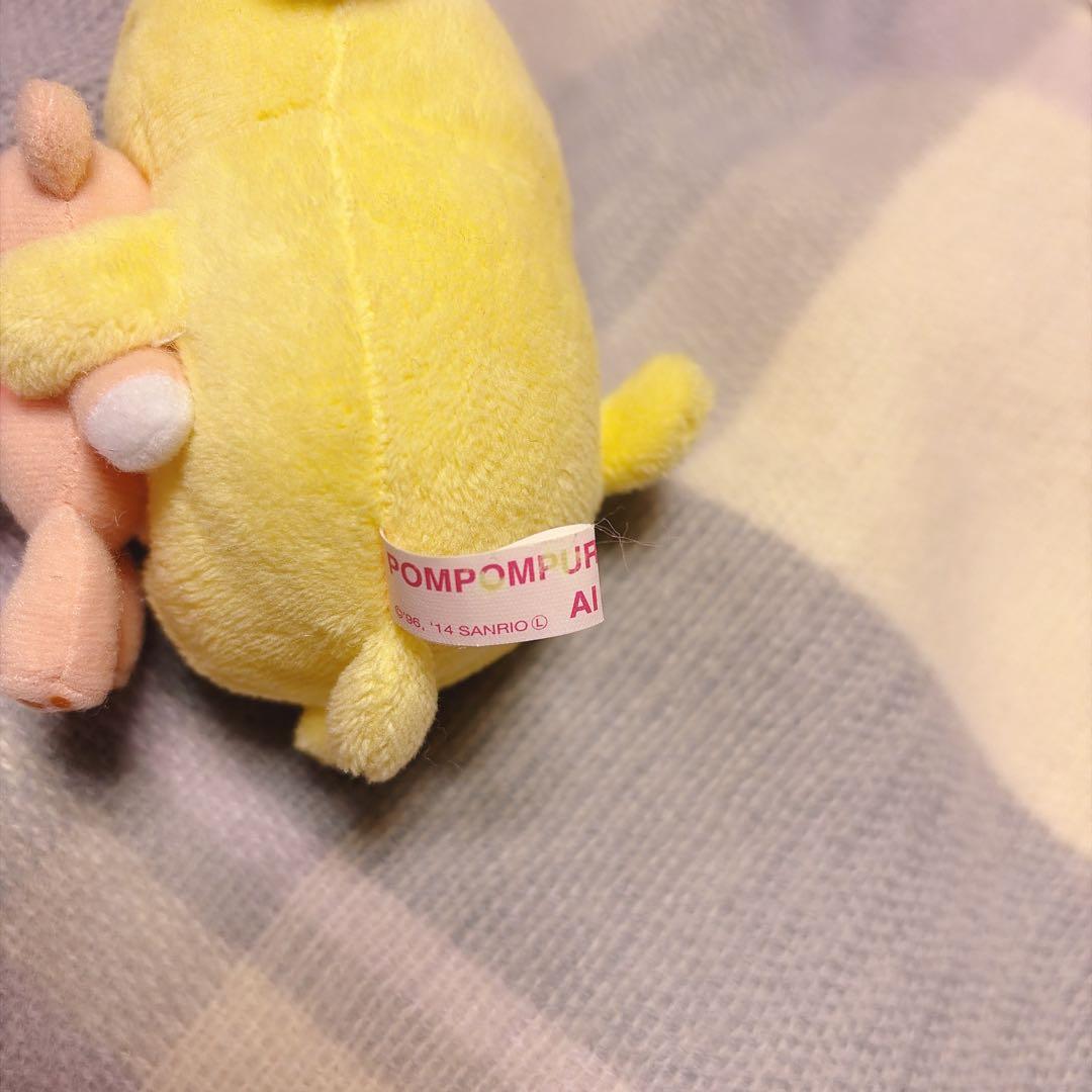 限定120個　ポムポムプリン　マスコット　くま