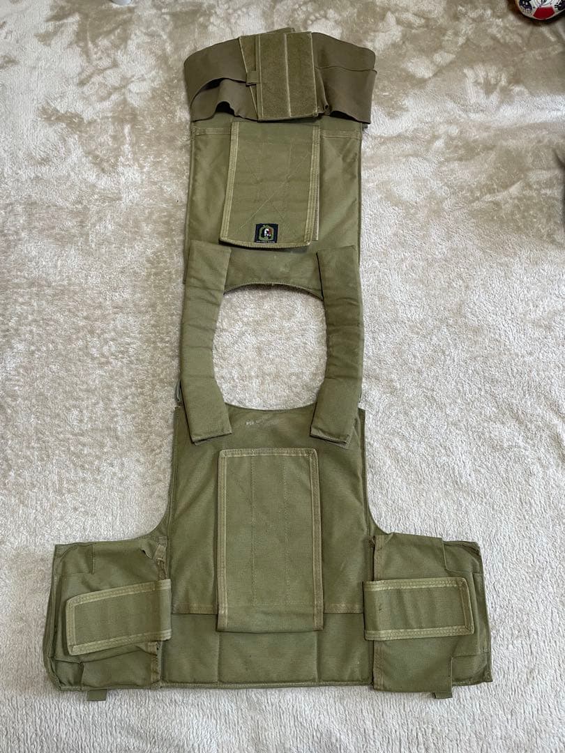 実物　放出品　TAG プレートキャリア　コヨーテ　ブラウン