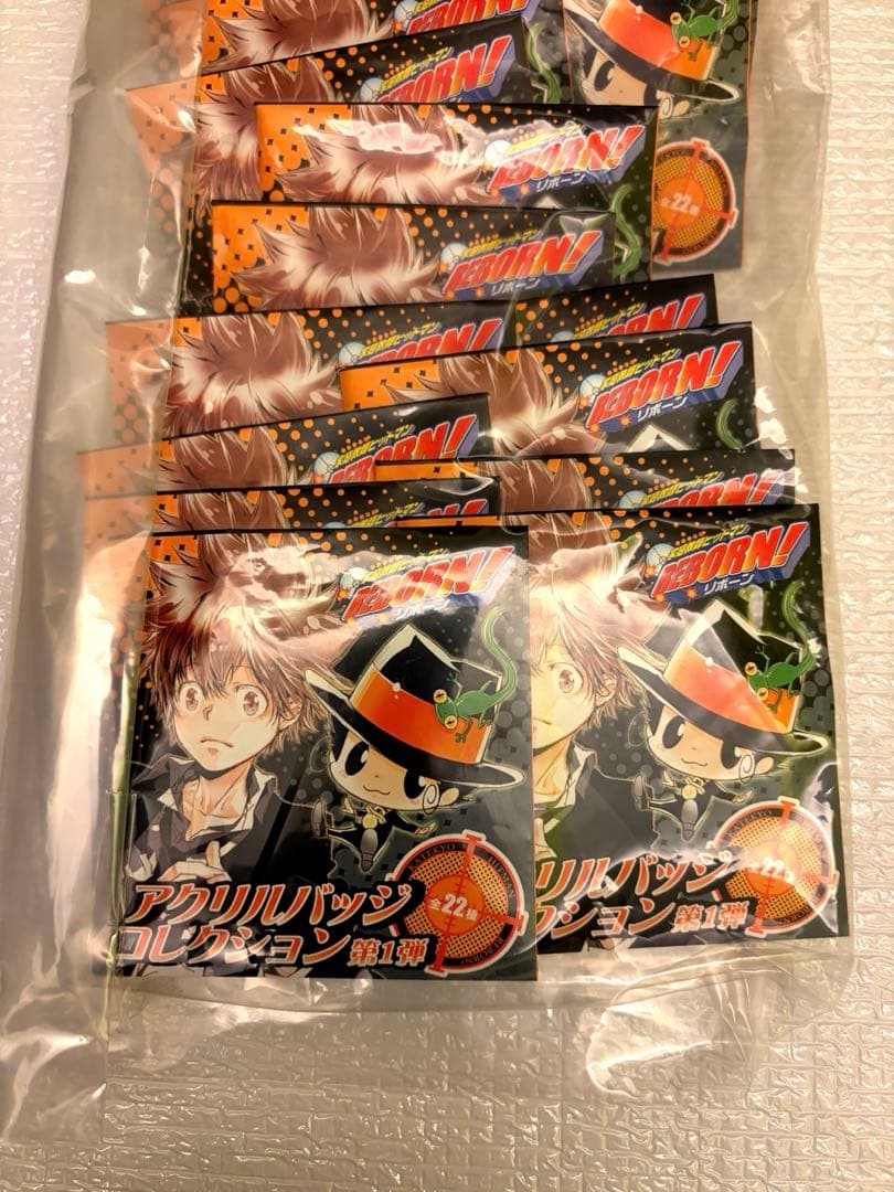 家庭教師ヒットマンＲＥＢＯＲＮ　アクリルバッジコレクション第１弾　22個