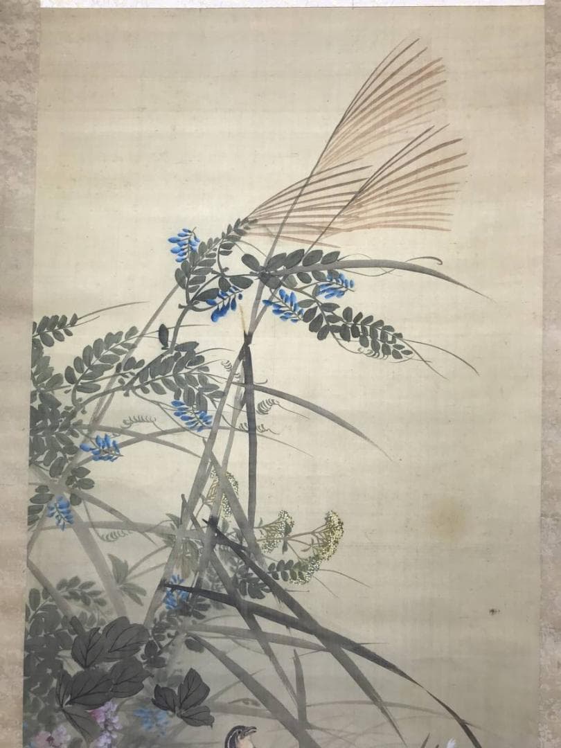 【真作】幸野楳峰/秋草鶉図/花鳥図/ウズラ図/掛軸/名家伝来/AC-293