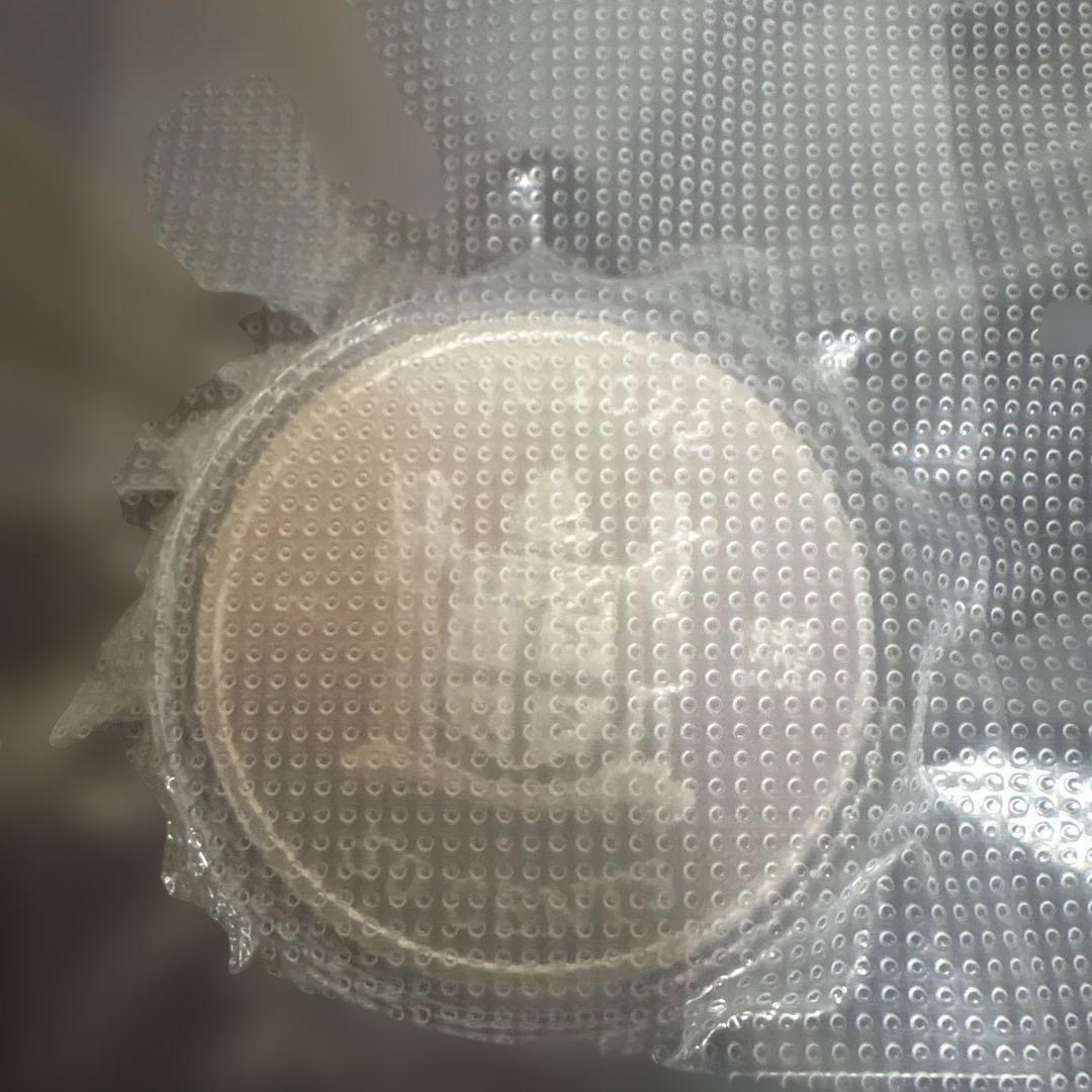 フィージー2022年　キャット銀貨シルバー　1オンス カプセル付き