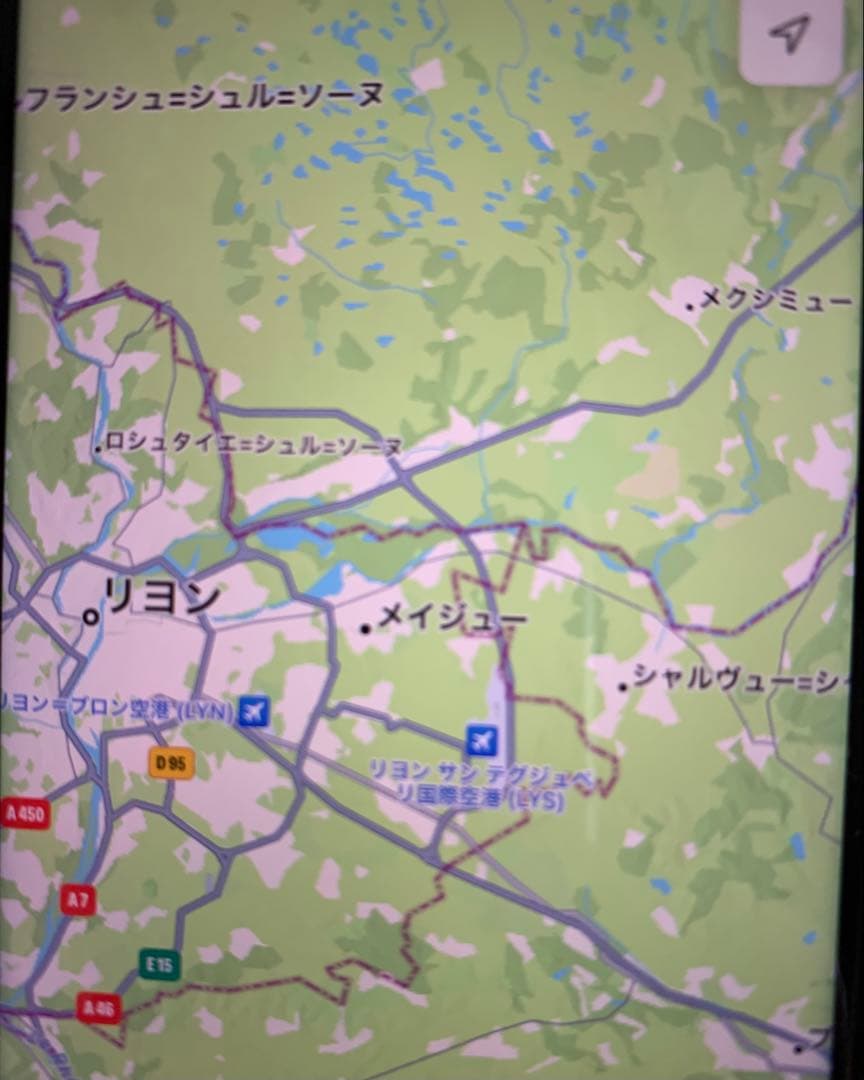 LUTZ・リヨン近郊メクシミュー村・ミシュラン三つ星カエル料理・入店証明カード