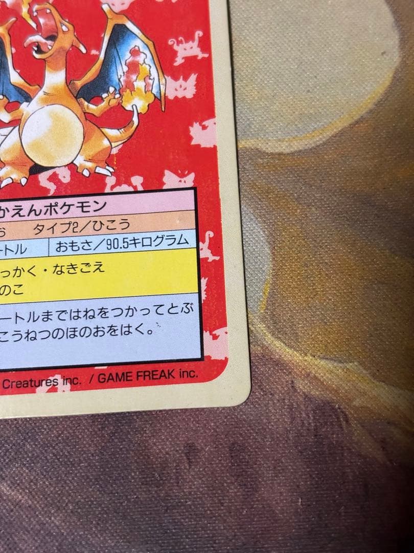 ポケットモンスター ポケモン リザードン トップサン 緑