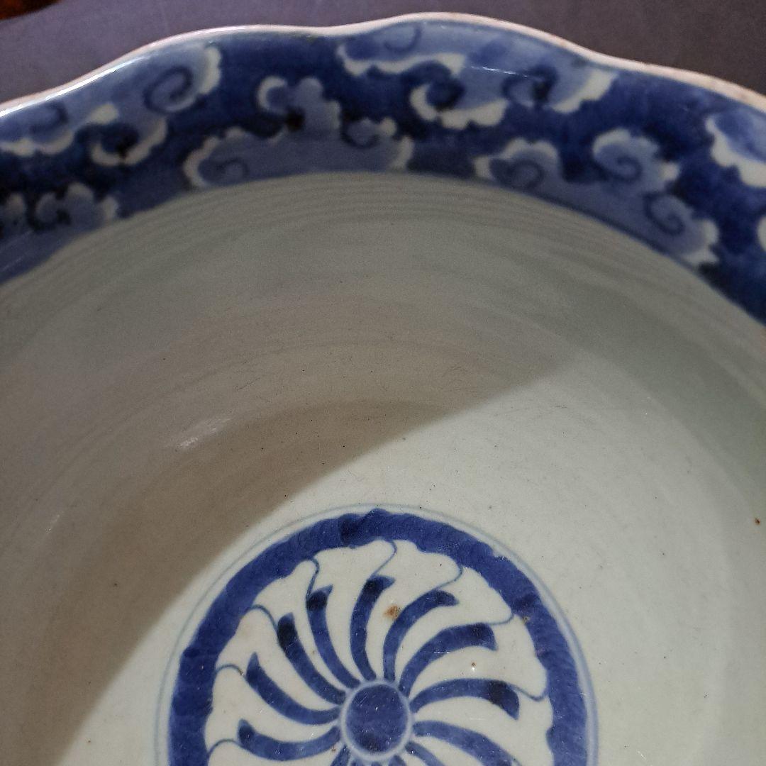 古伊万里　呉須染付青磁　深鉢　輪花赤縁　口太　高台　立割菊花図　江戸後期