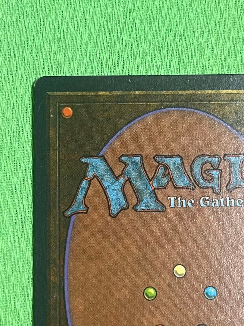 マジック：ザ・ギャザリング MTG Taiga