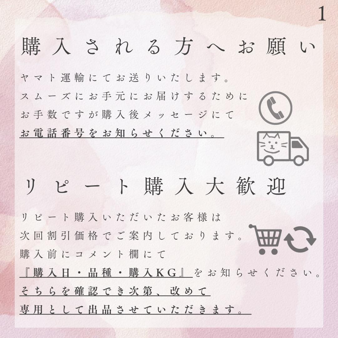 自宅用【幸茜10kg 約24-36個】