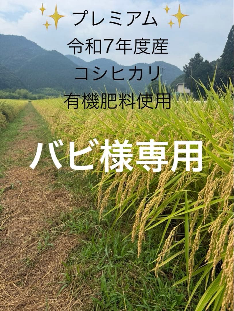 バビ(リピーター様、割引き価格)