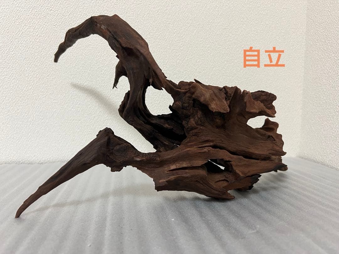 HX-095 流木　マシンガンウッド　ホーンウッド アクアリウム　ブランチウッド