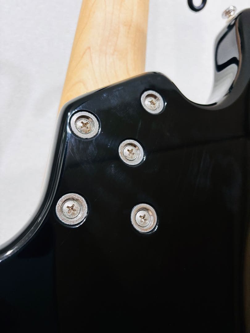 レイクランド　LAKLAND Skyline Series SK-4CL