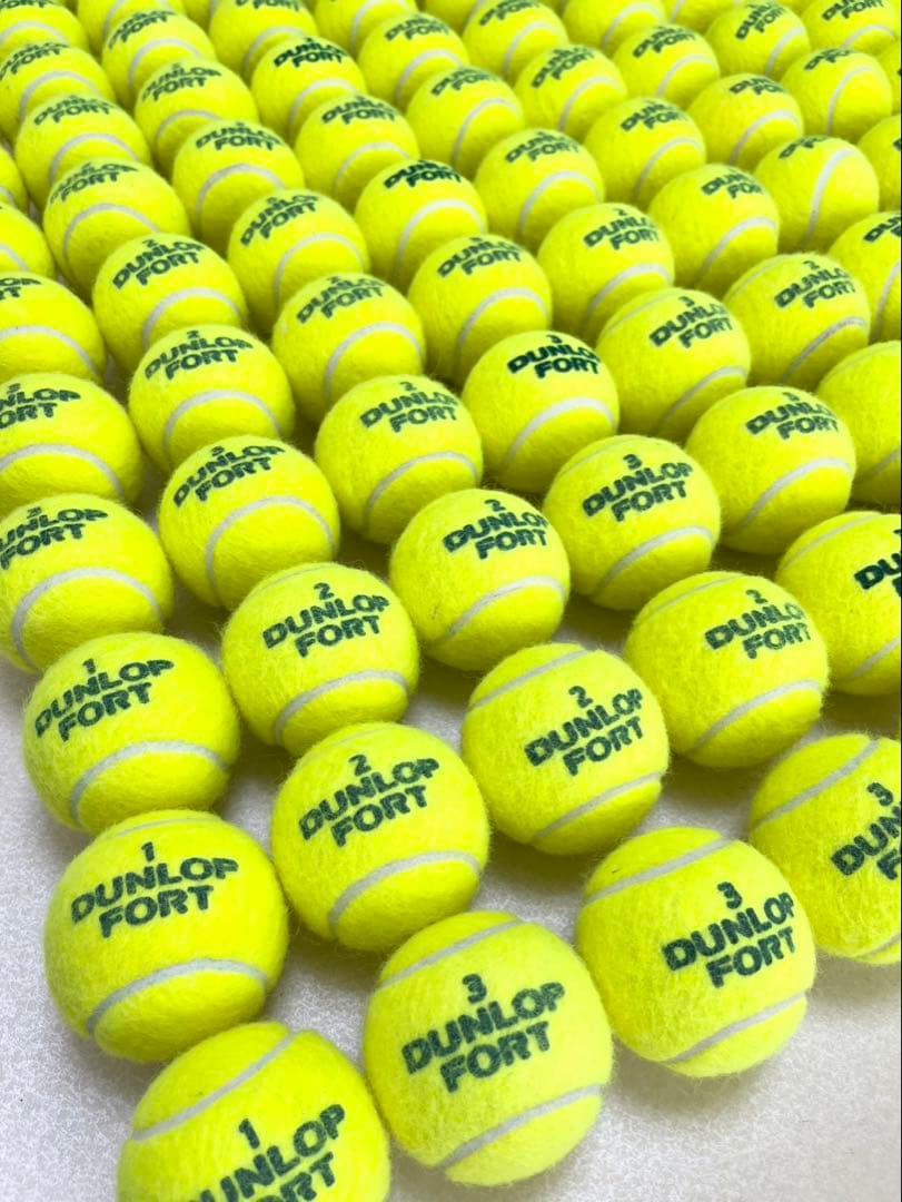 ダンロップフォート189球　中古品