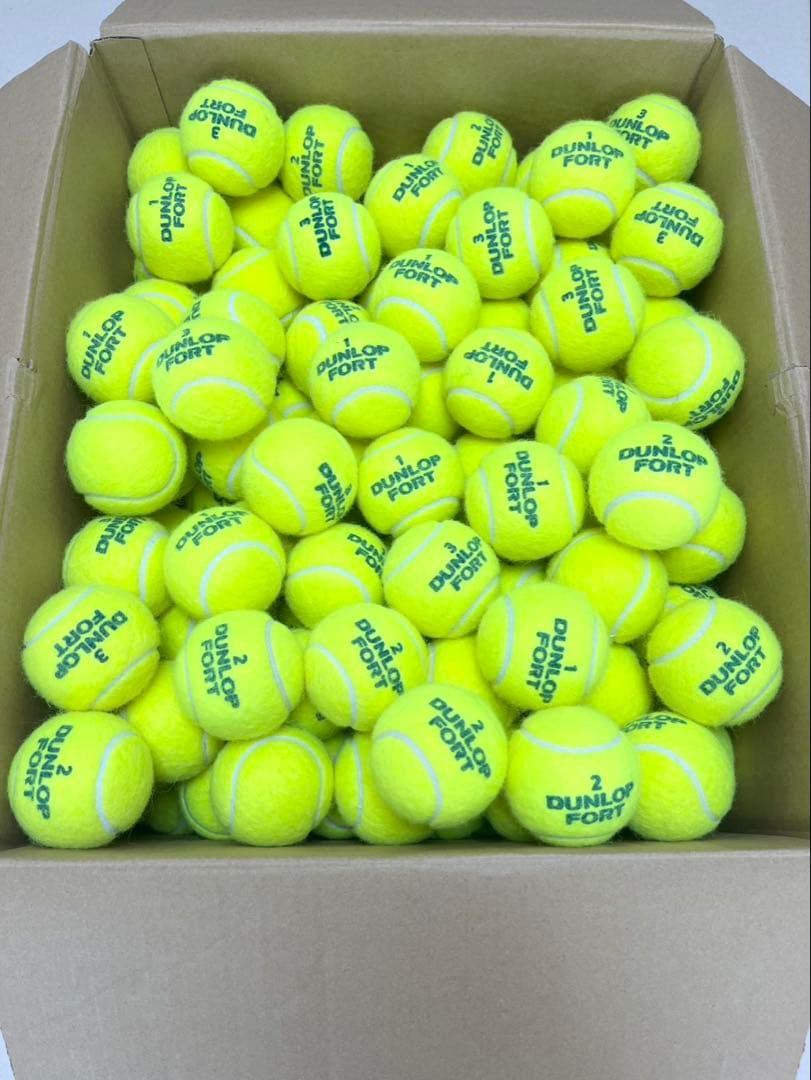 ダンロップフォート189球　中古品