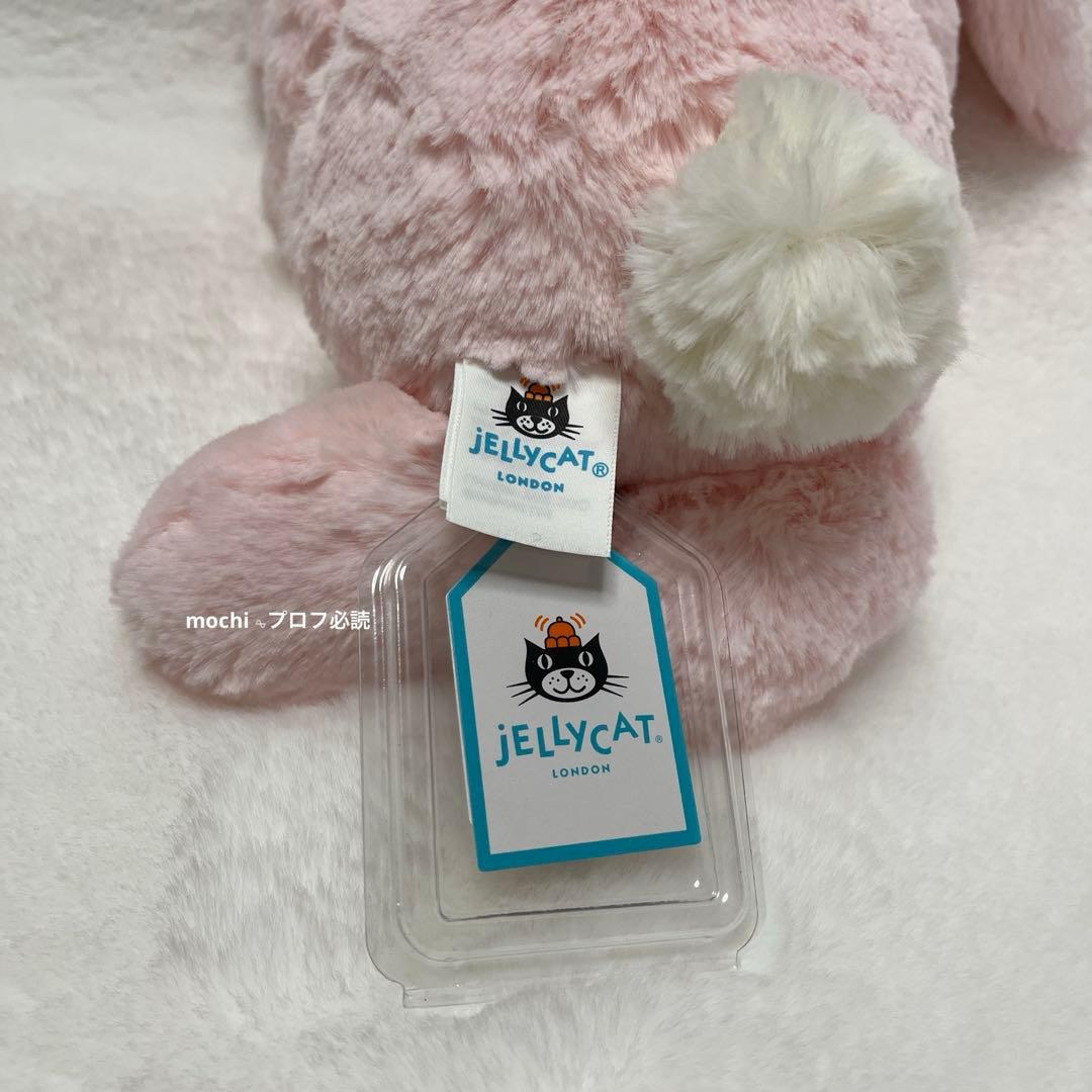  Bashful Pink Bunny うさぎ