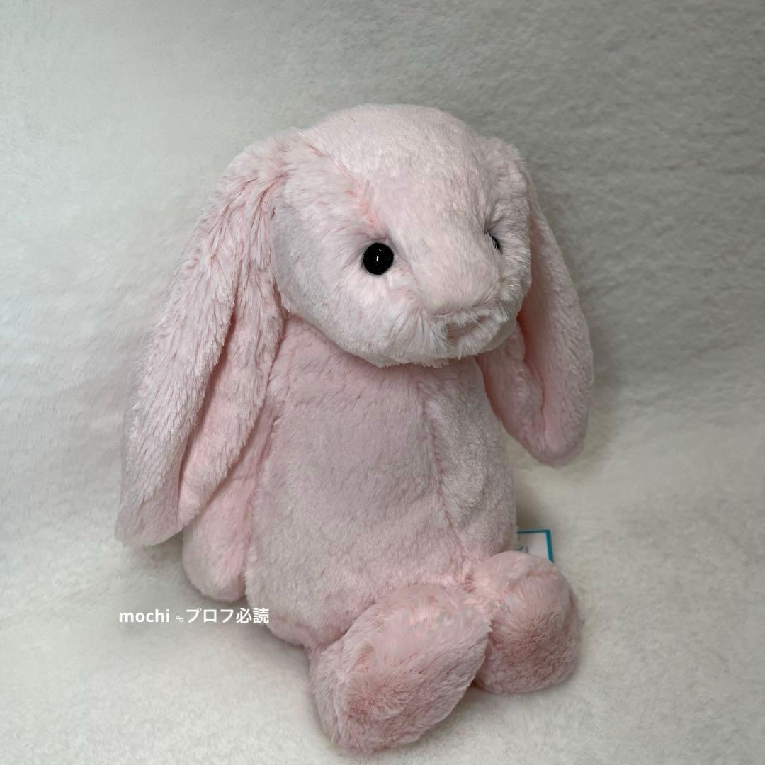  Bashful Pink Bunny うさぎ