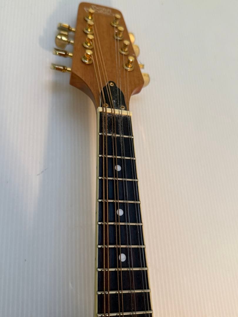 フラットマンドリンBeanBlossom By Morgan Monroe