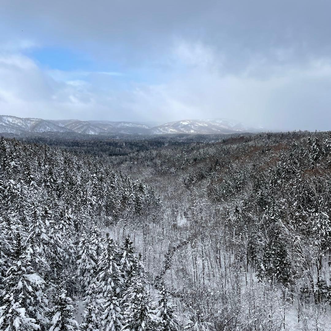 鹿ジャーキー犬用200g×10