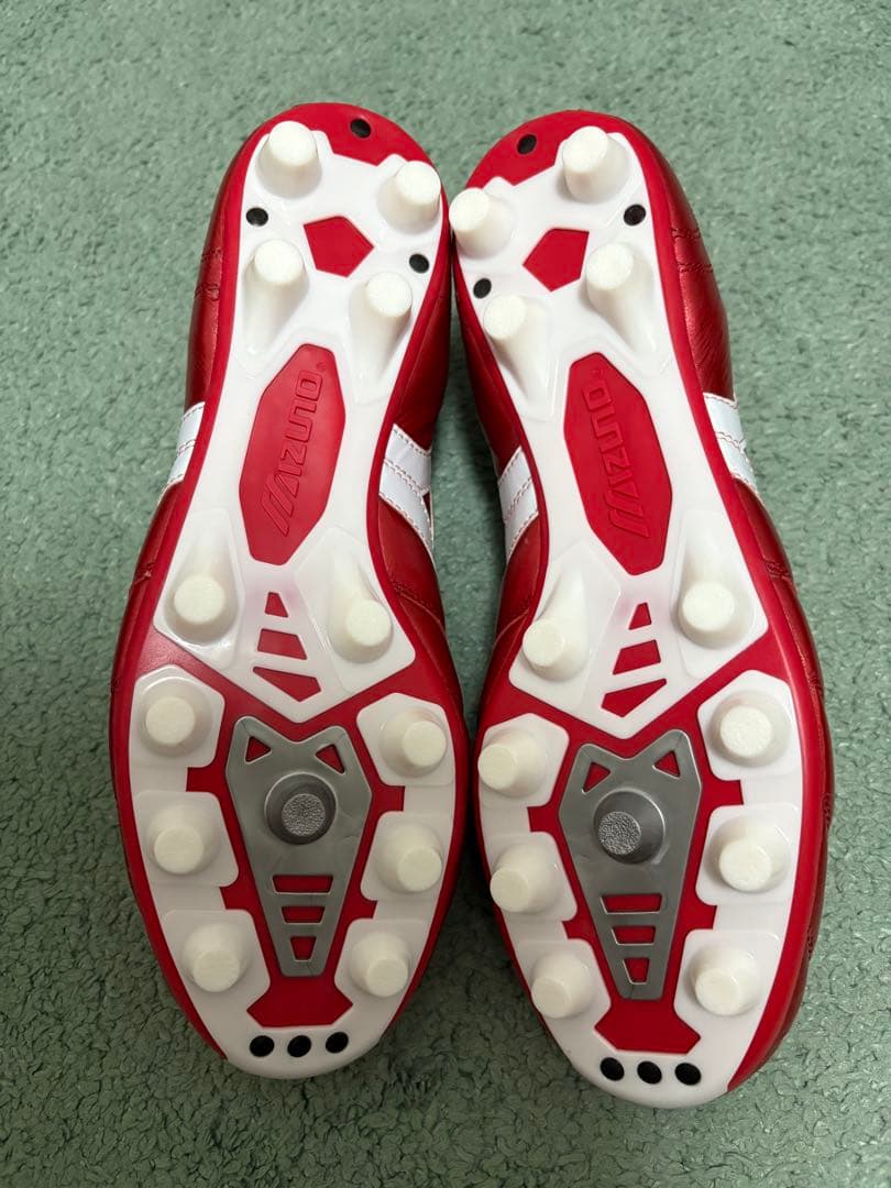 モレリア2(MORELIA Ⅱ JAPAN)